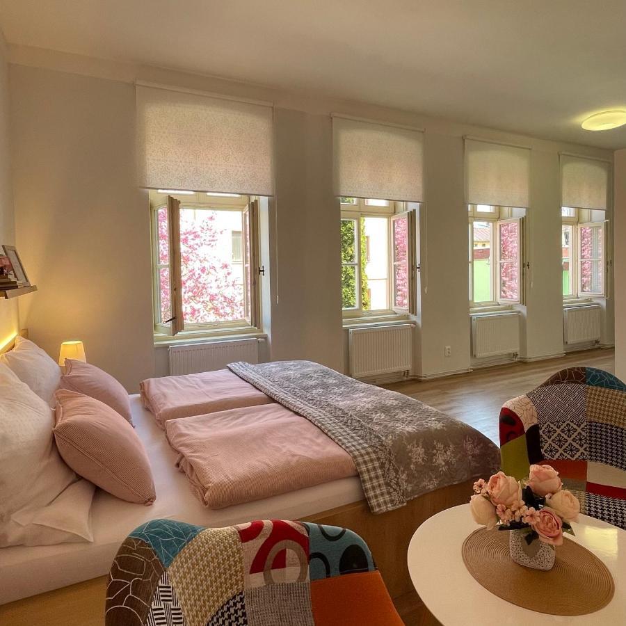 Apartmany Basta & Wellness Sušice Екстериор снимка