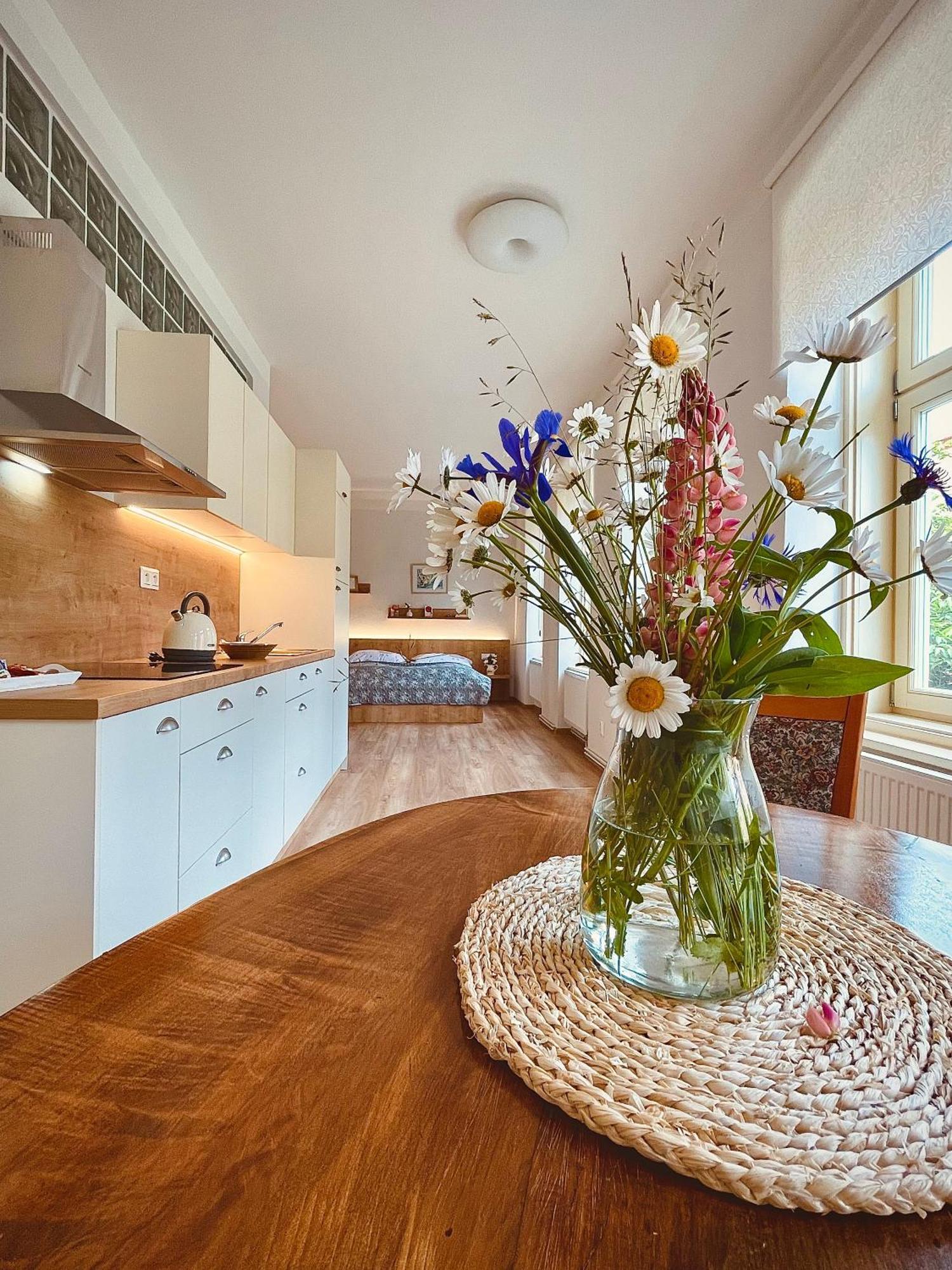 Apartmany Basta & Wellness Sušice Екстериор снимка