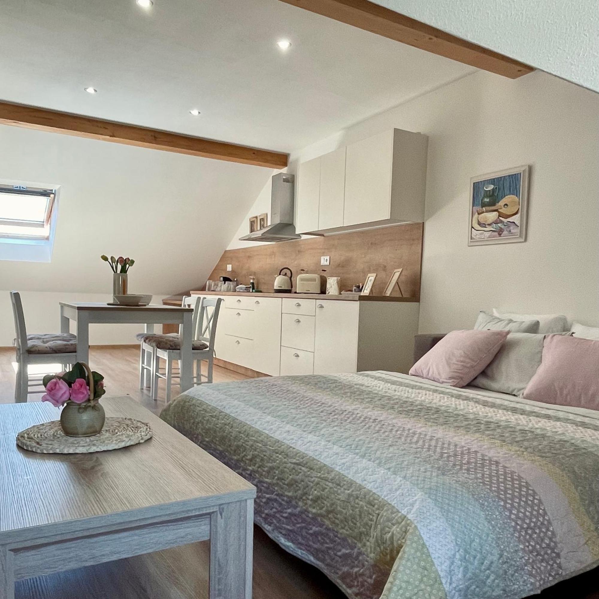 Apartmany Basta & Wellness Sušice Екстериор снимка