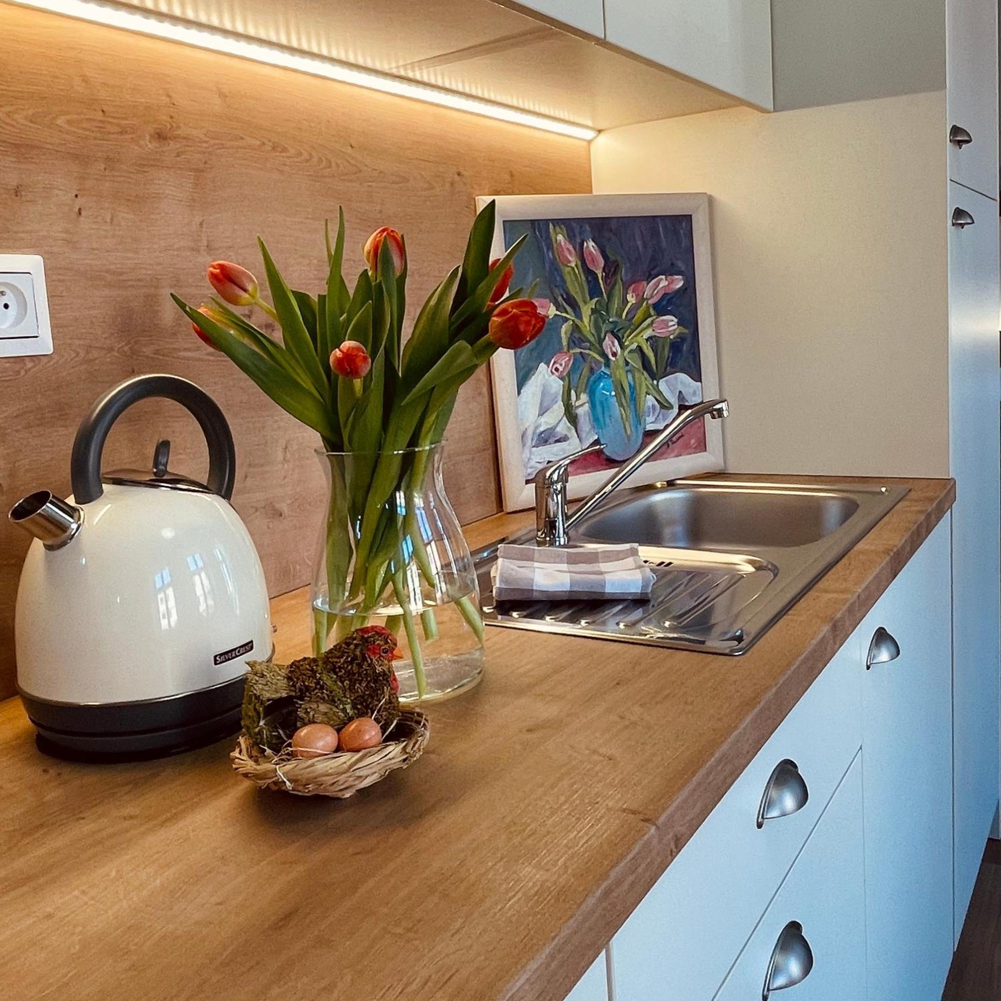 Apartmany Basta & Wellness Sušice Екстериор снимка
