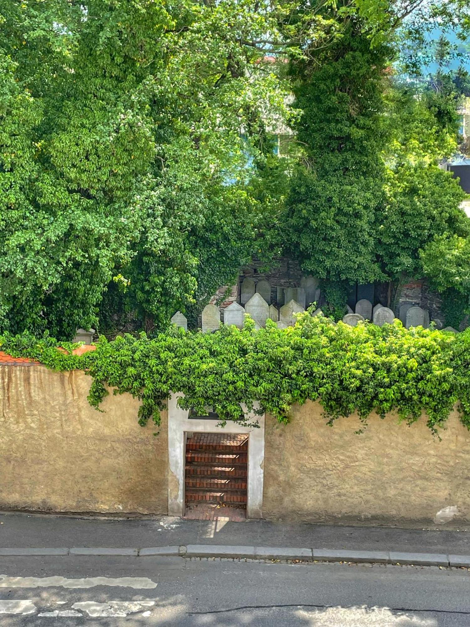 Apartmany Basta & Wellness Sušice Екстериор снимка